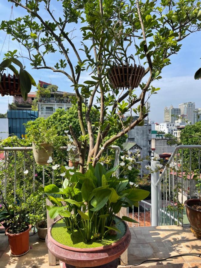 May Residence-800M From Opera House Hà Nội Ngoại thất bức ảnh