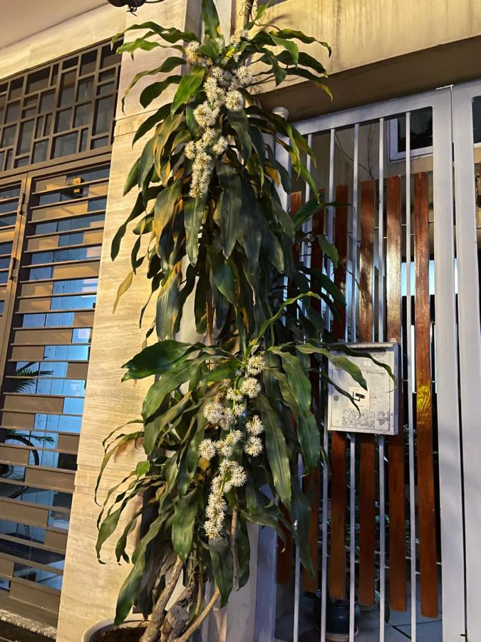 May Residence-800M From Opera House Hà Nội Ngoại thất bức ảnh