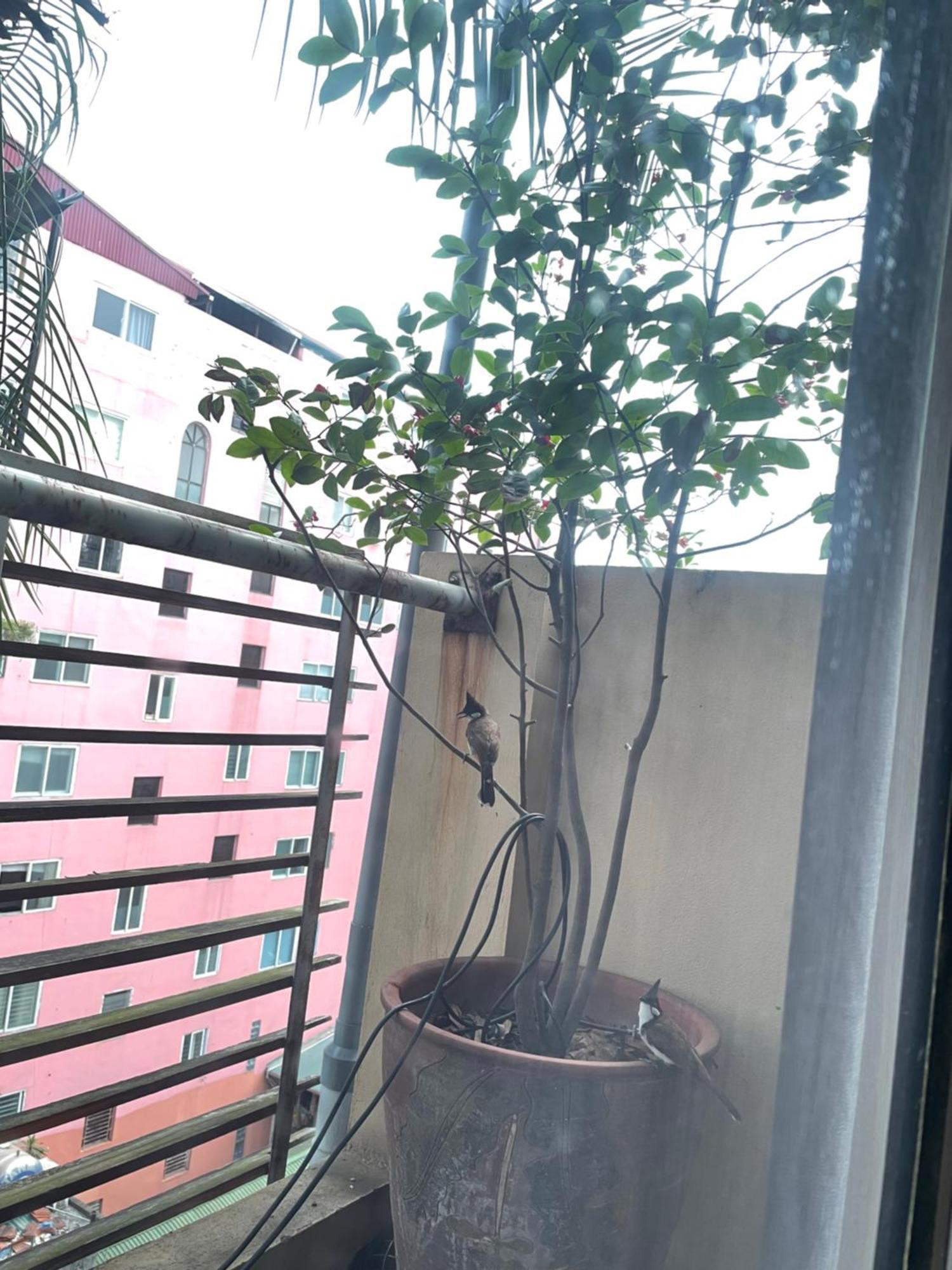 May Residence-800M From Opera House Hà Nội Ngoại thất bức ảnh
